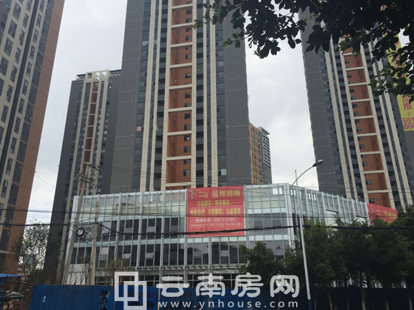 昆明名旺角最新資訊全攻略，資訊獲取指南與動態(tài)速遞