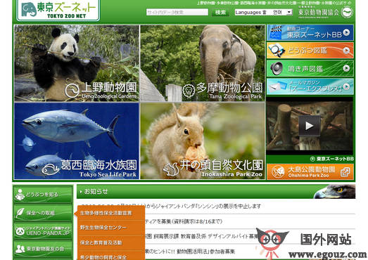 最新動物園網(wǎng)站，自然美景的探索之旅