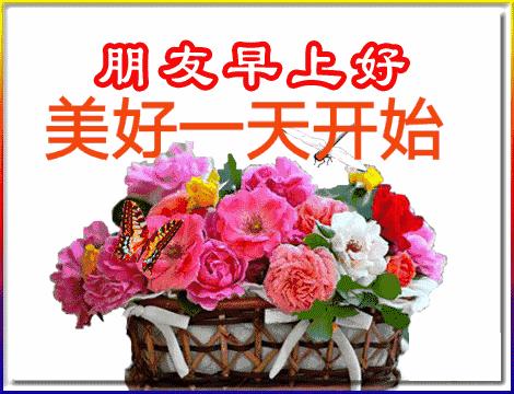 五福碰胡最新版下載，變化、學習與自信的力量之源