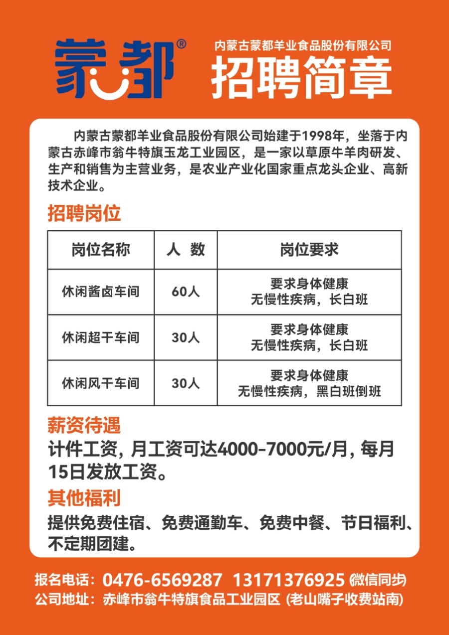 萊蕪金點(diǎn)子最新招聘信息港，科技驅(qū)動(dòng)職業(yè)夢(mèng)想，崗位觸手可及