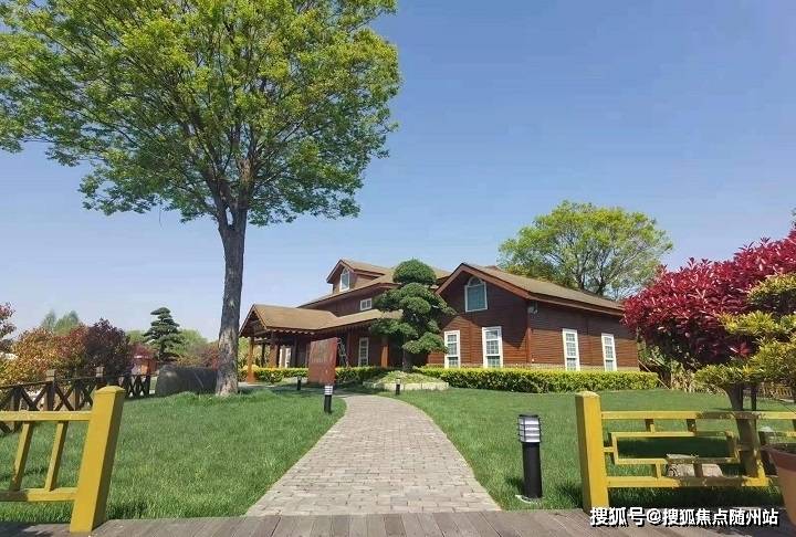 變化中的學習之旅，中澤純境最新消息與自信成就之源