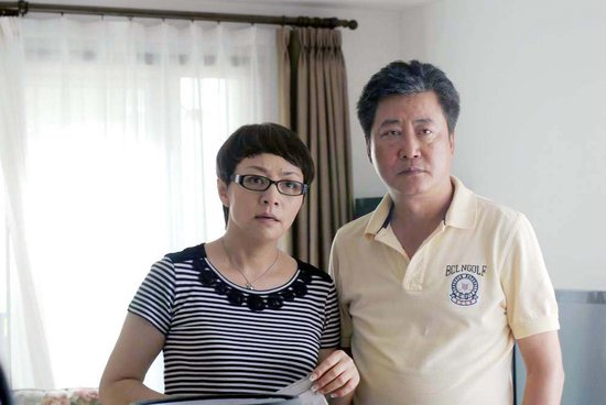 趙寶剛最新電視劇深度解析與探討，新劇探討與探討