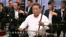 陳百甫最新板胡伴奏步驟詳解及指南
