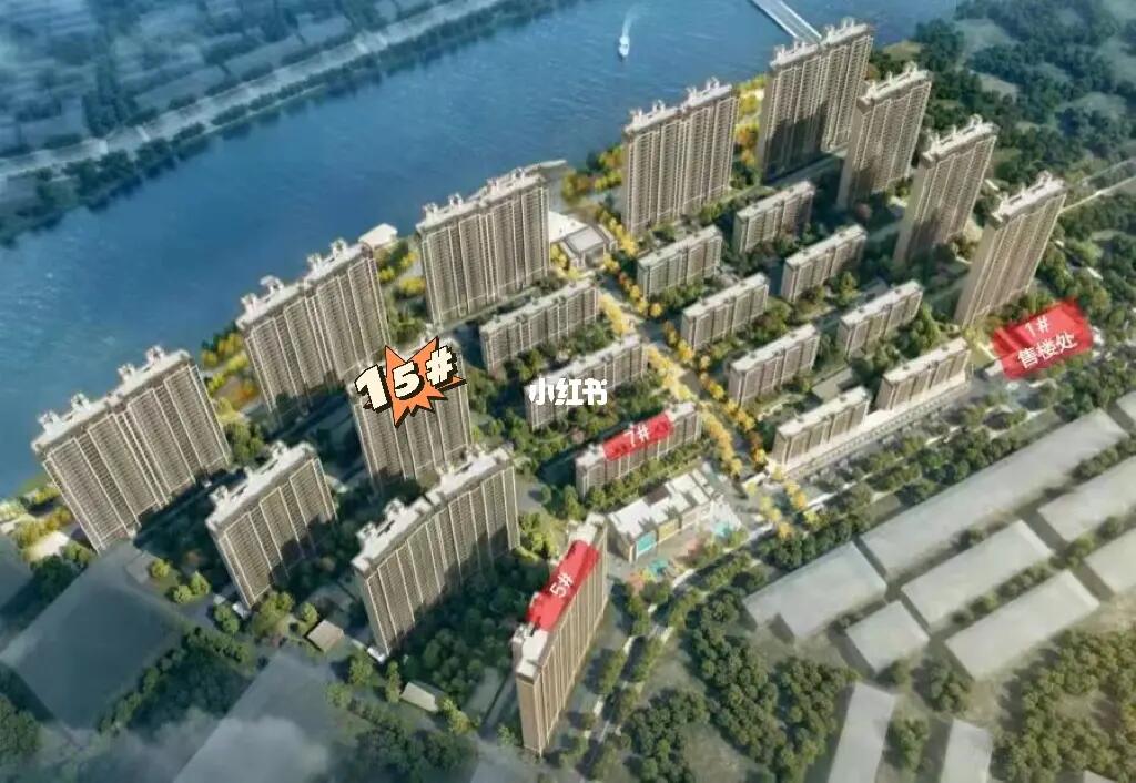 阜寧帝逸國際最新信息一覽，概覽與詳述